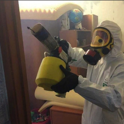 Уничтожение клопов в квартире. Нефтекамск
